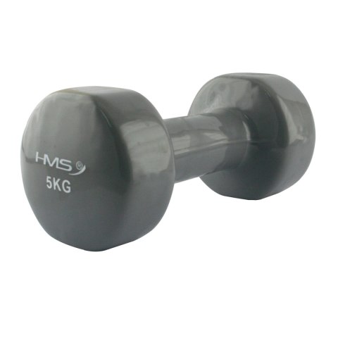 17023 CIĘŻAREK ŻELIWNY POKRYTY WINYLEM 5.0 KG 17023 CIĘŻAREK ŻELIWNY POKRYTY WINYLEM 5.0 KG